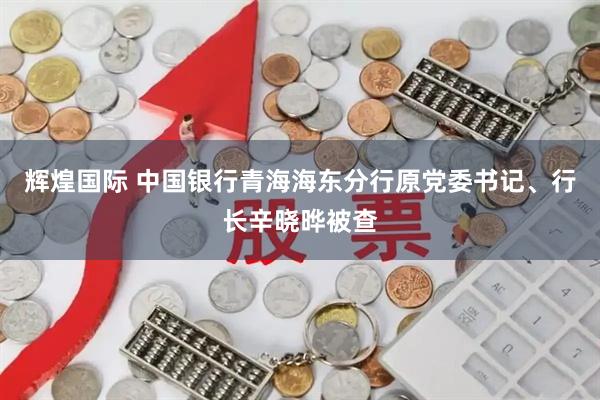 辉煌国际 中国银行青海海东分行原党委书记、行长辛晓晔被查