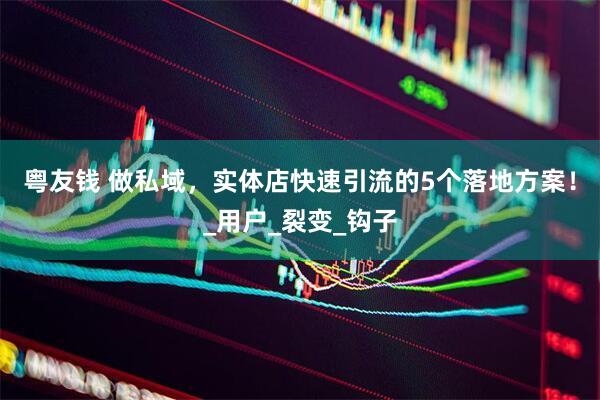 粤友钱 做私域，实体店快速引流的5个落地方案！_用户_裂变_钩子