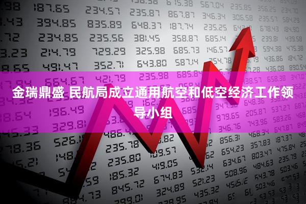 金瑞鼎盛 民航局成立通用航空和低空经济工作领导小组